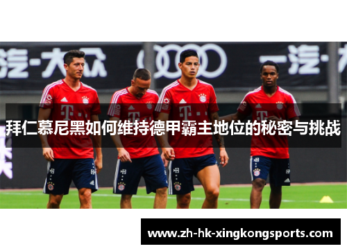 拜仁慕尼黑如何维持德甲霸主地位的秘密与挑战 拜仁慕尼黑如何维持德甲霸主地位的秘密与挑战