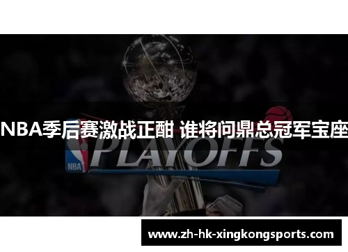 NBA季后赛激战正酣 谁将问鼎总冠军宝座