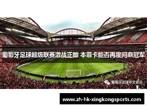 葡萄牙足球超级联赛激战正酣 本菲卡能否再度问鼎冠军